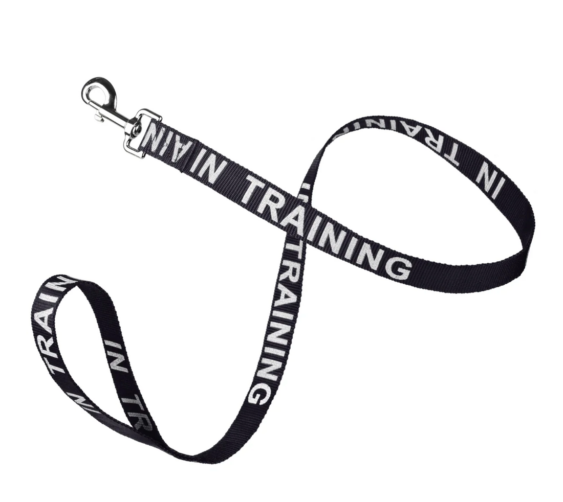 Reflective Nylon Dog Leash – Durable, High-Visibility Training Lead