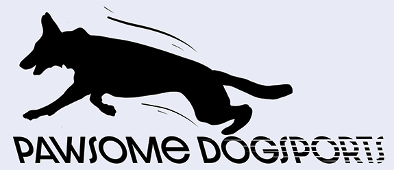 Viper Biothane Traffic Lead – Pawsome Dogsports