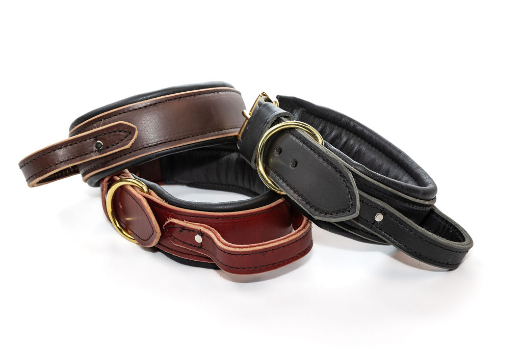 Bridgeport K9 Padded Leather Collar with Flexible Handle – Premium, Durable Dog Collar for Protection Sports & Police Handlers – Optimal Control, Comfort & Reliability