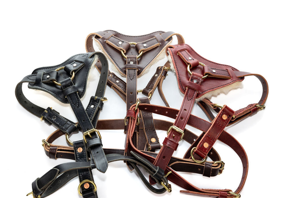 Bridgeport Tracking Harness