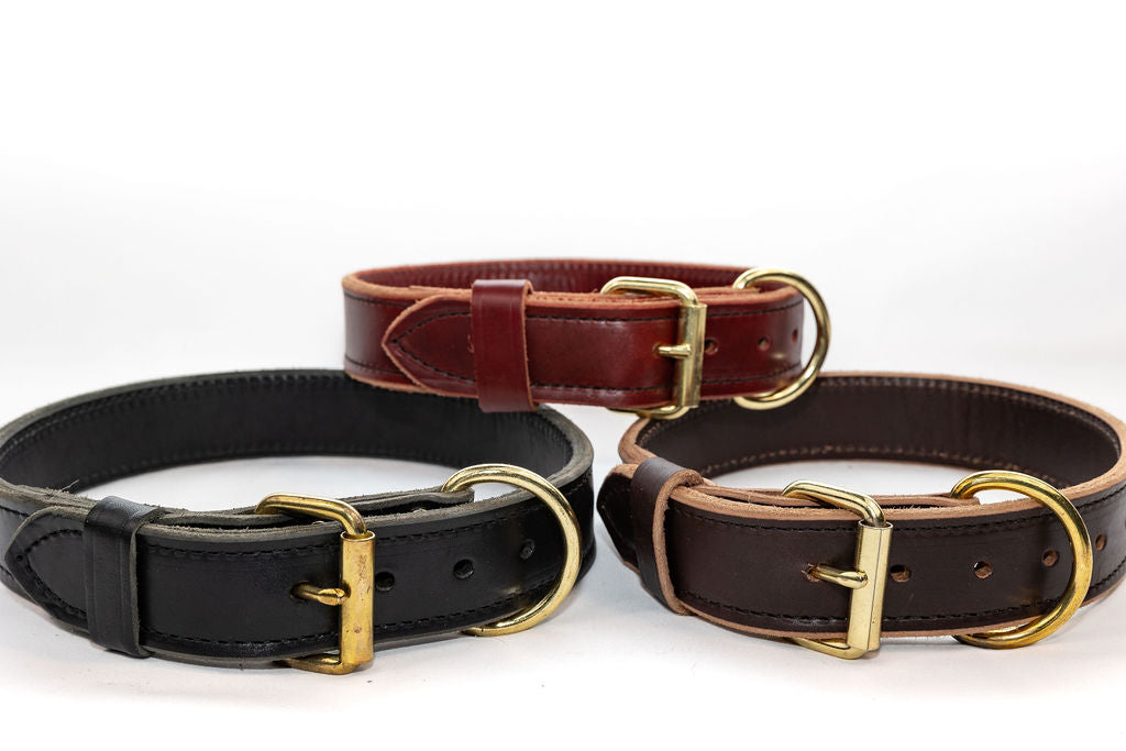 Bridgeport K9 1" Standard Leather Dog Collar – Premium Leather Collar for Everyday Use, Training, and Style