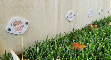 Scent Detection Wall for K9 and Nosework training.