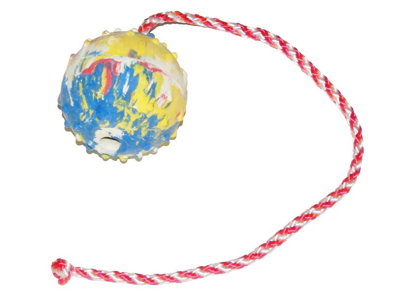 Firm Rubber Ball With Rope