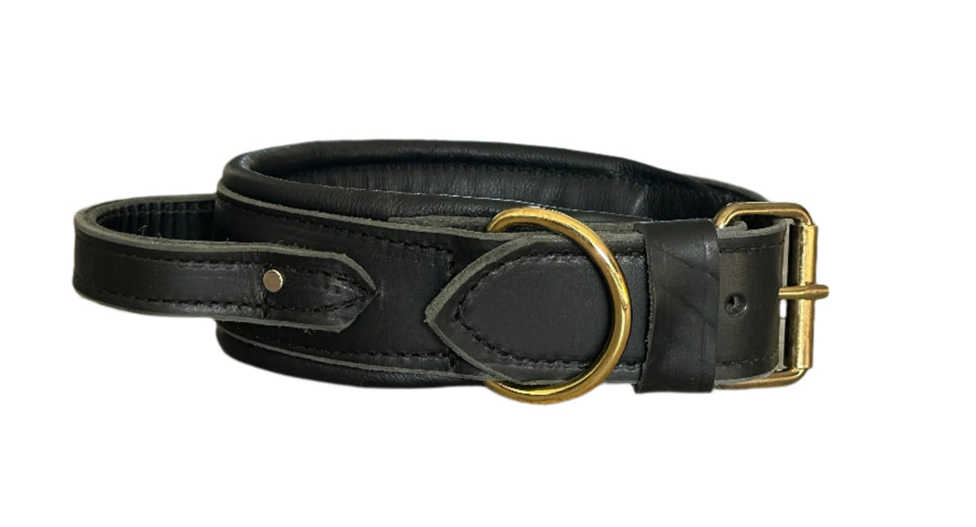 Padded Leather Collar with Flexible Handle