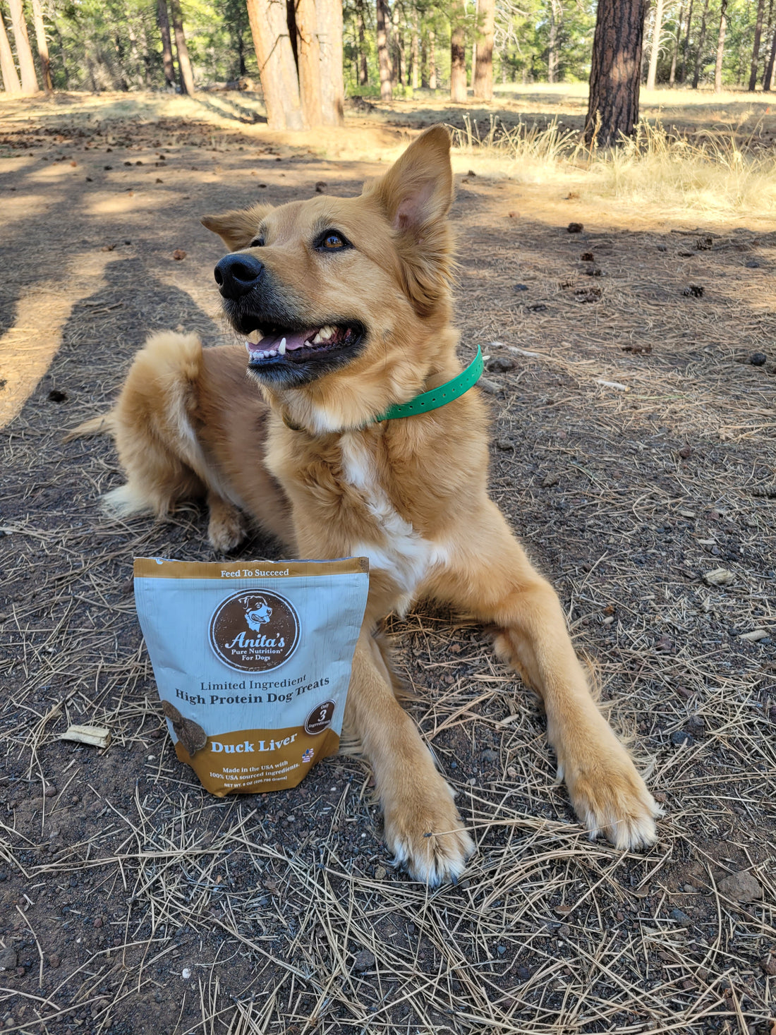 Package of Anita's Pure Nutrition dog treats with visible treats in front, indicating Duck Liver flavor, and text stating Limited Ingredient High Protein Dog Treats.