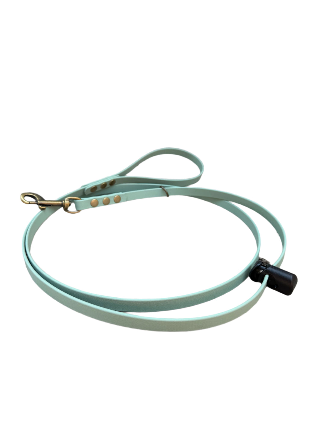 Light green dog leash with brass clip hanging on a wooden door
