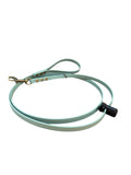 Light green dog leash with brass clip hanging on a wooden door