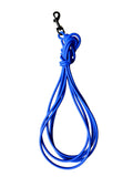A bright blue coiled dog leash with a black metal clip