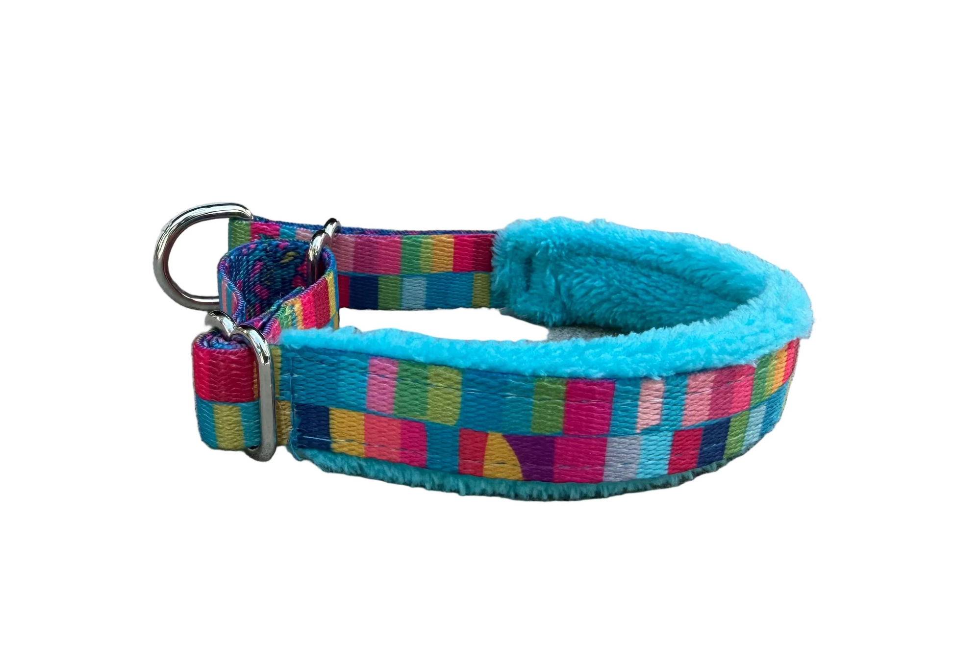 Colorful dog collar on a white  background
