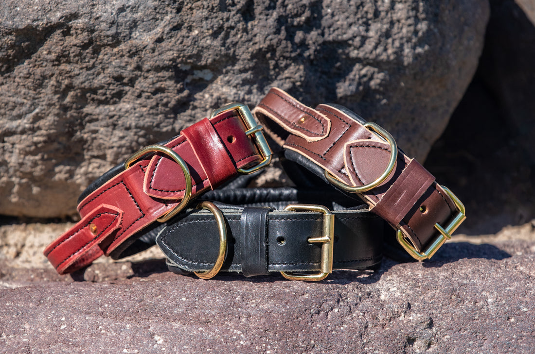 Bridgeport K9 Padded Leather Collar with Flexible Handle – Premium, Durable Dog Collar for Protection Sports & Police Handlers – Optimal Control, Comfort & Reliability