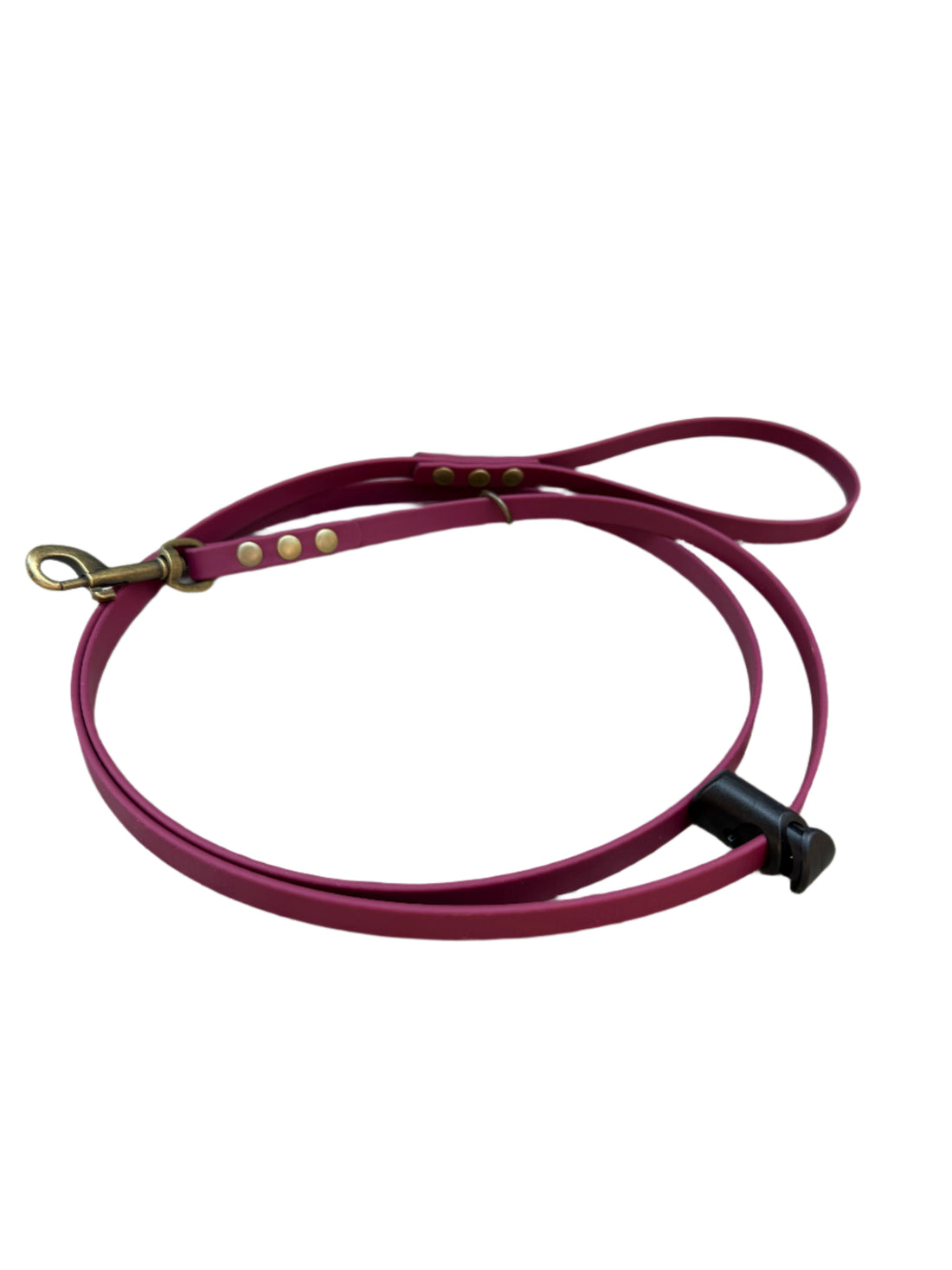 Light green dog leash with brass clip hanging on a wooden door