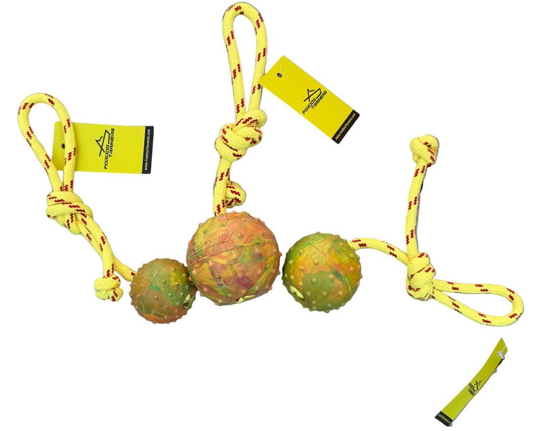 Dog toy with three balls and a rope on a white background