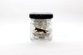 A glass jar of pre-scented cotton swabs for ACK, UKC, and NACSW. Birch odor.