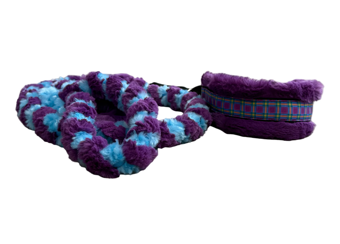 Colorful minky collar and leash on a white background