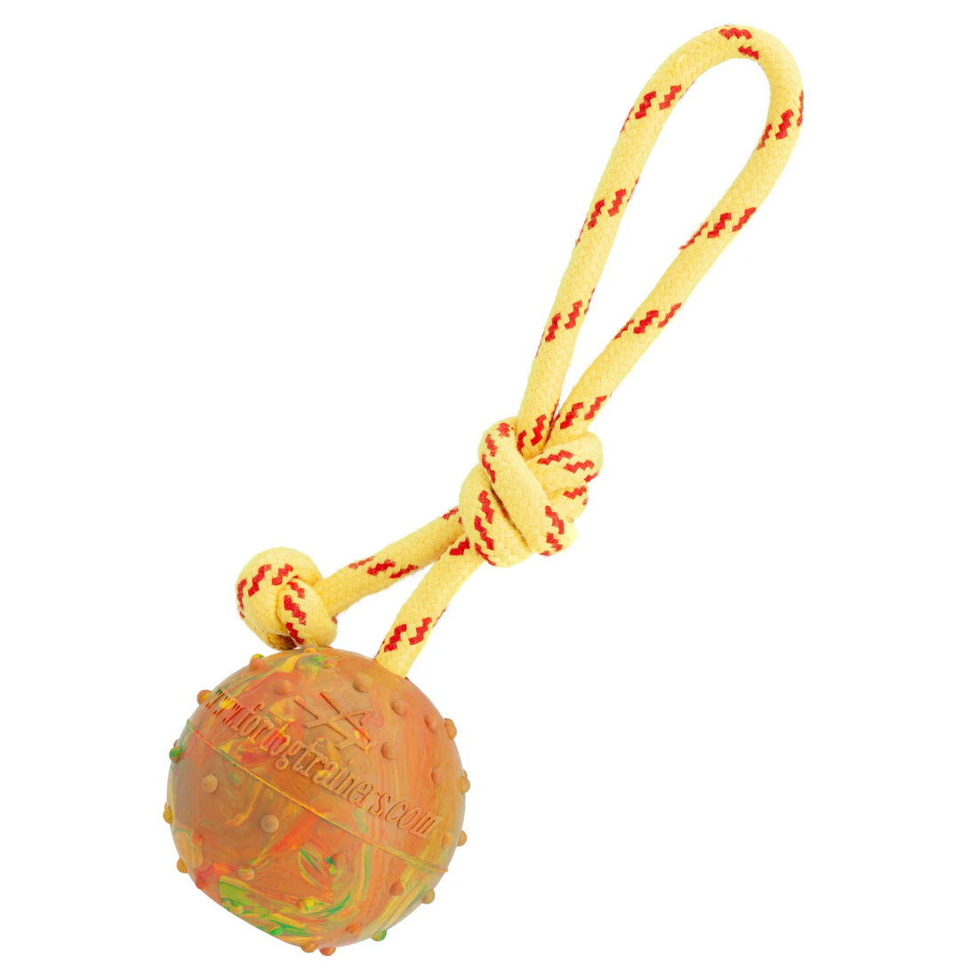 FDT Rubber Dog Ball with Rope