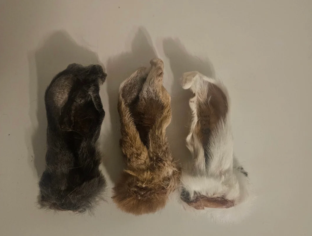 Anita's Pure Nutrition: Rabbit Foot & Ear - Natural Hair-On Chew for Dogs