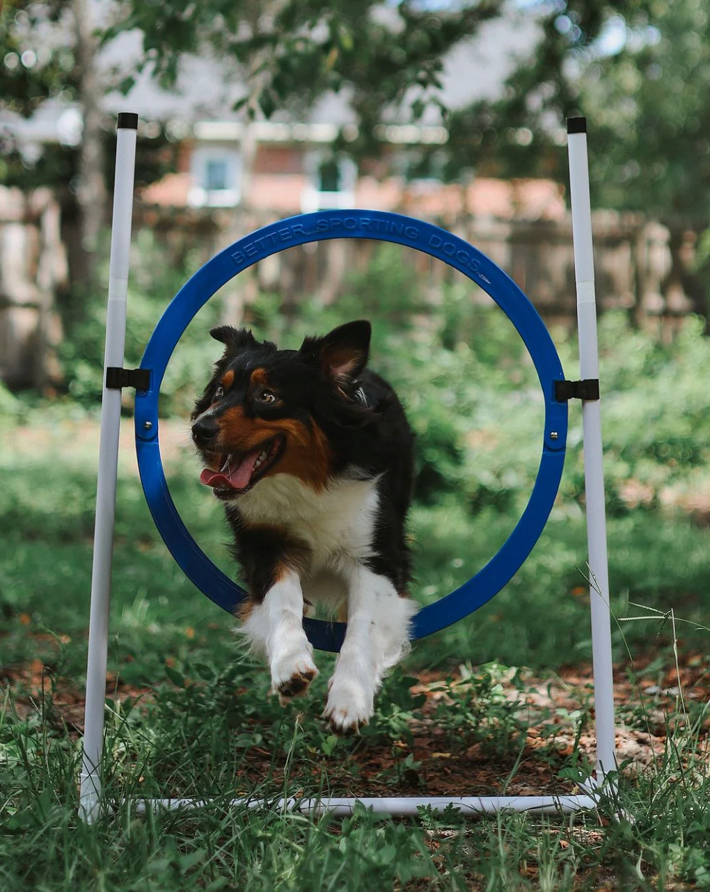 Better Sporting Dogs Upgraded Dog Agility Set – 7-Piece Training Kit with Safety Breakaway Tire Jump, Tunnels, Weave Poles & Pause Box