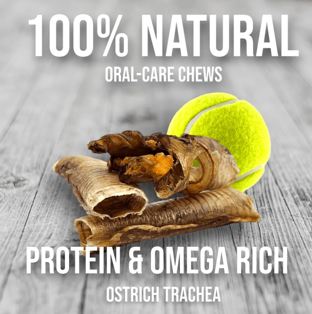 Crunchy Ostrich Trachea Dog Treats – Natural Chews for Small & Medium Dogs