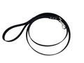 Black dog leash on a white background.