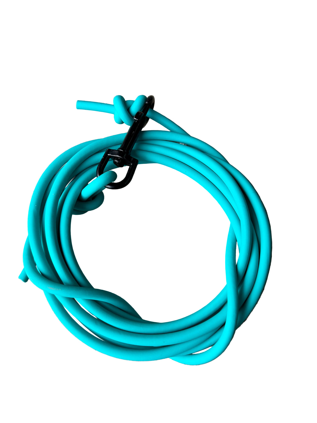 A bright teal coiled biothane dog lead with a black metal clip