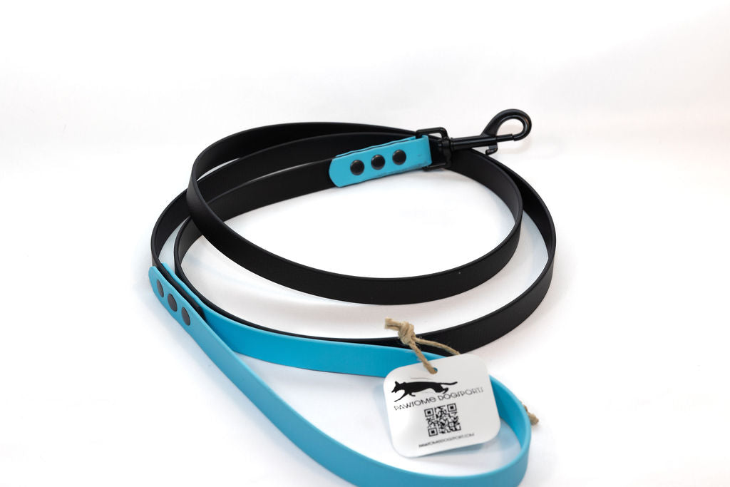A six foot black biothane dog leash with a light blue accents, shown coiled on a white background with a product tag attached.
