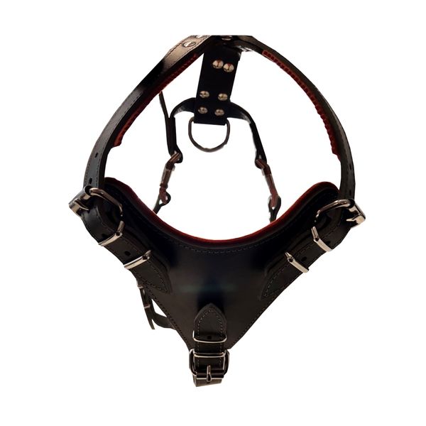 Defense Harness