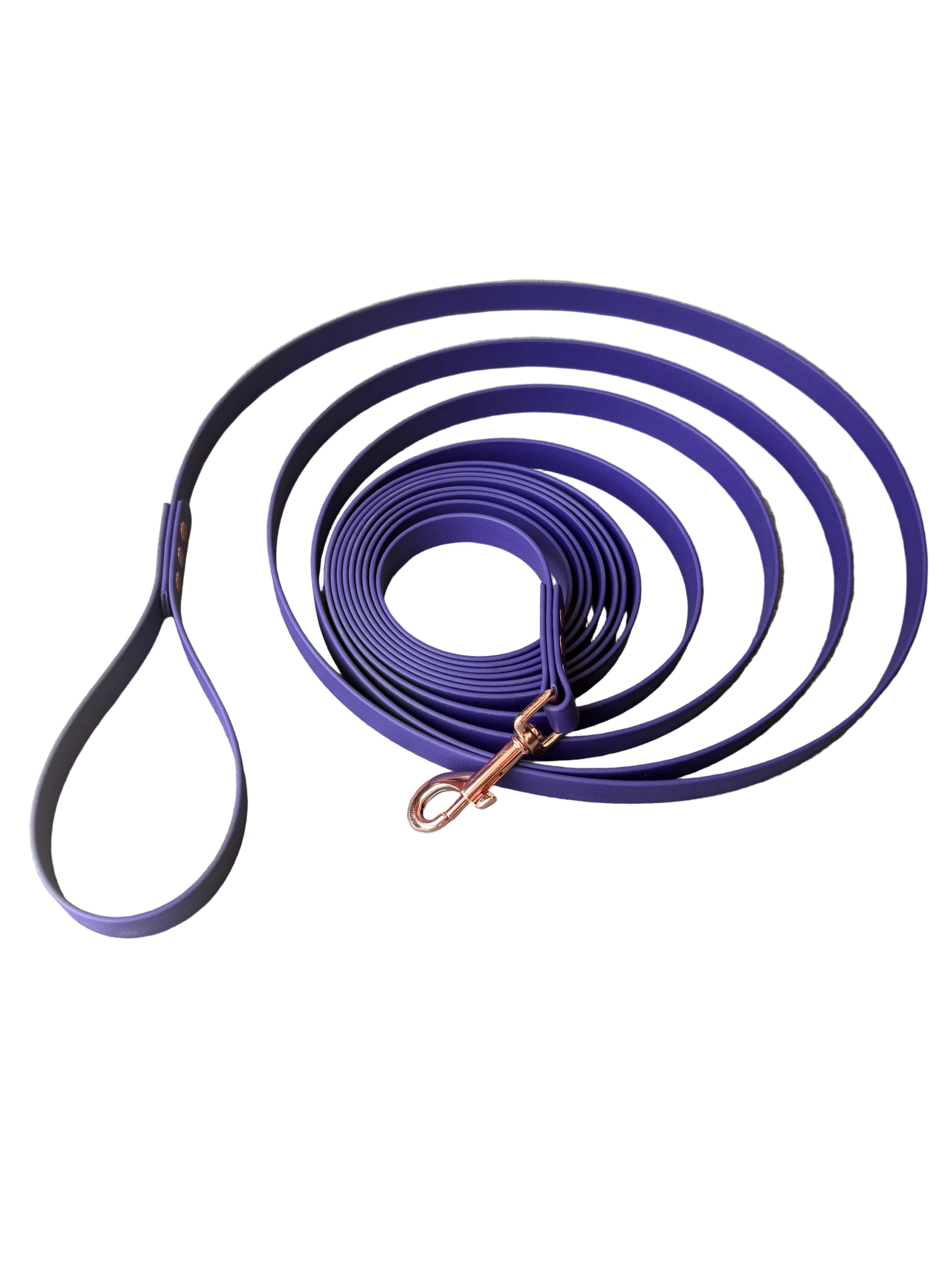 Violet biothane long line on white background. 