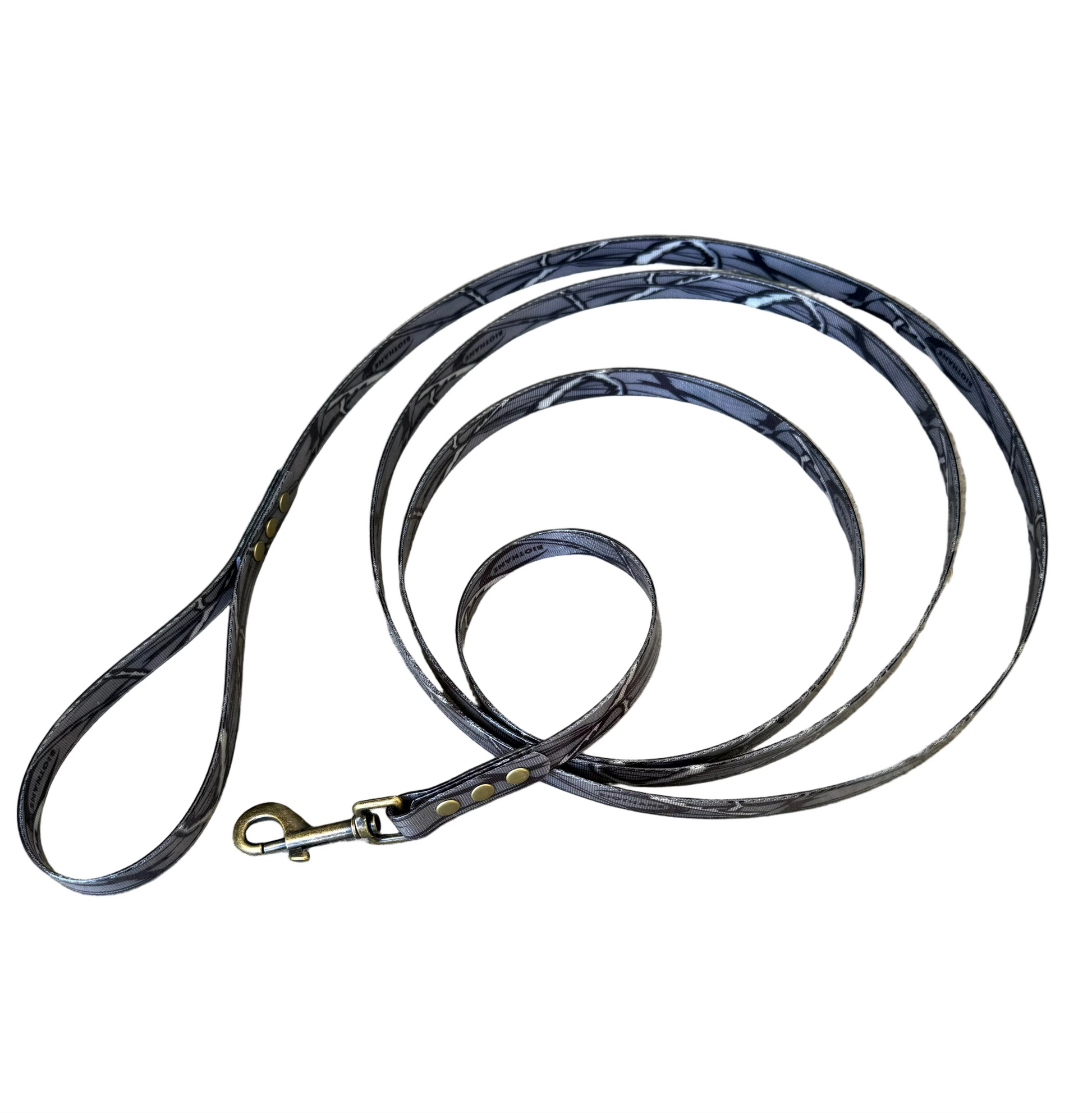 Dog leash coiled on a white background.
