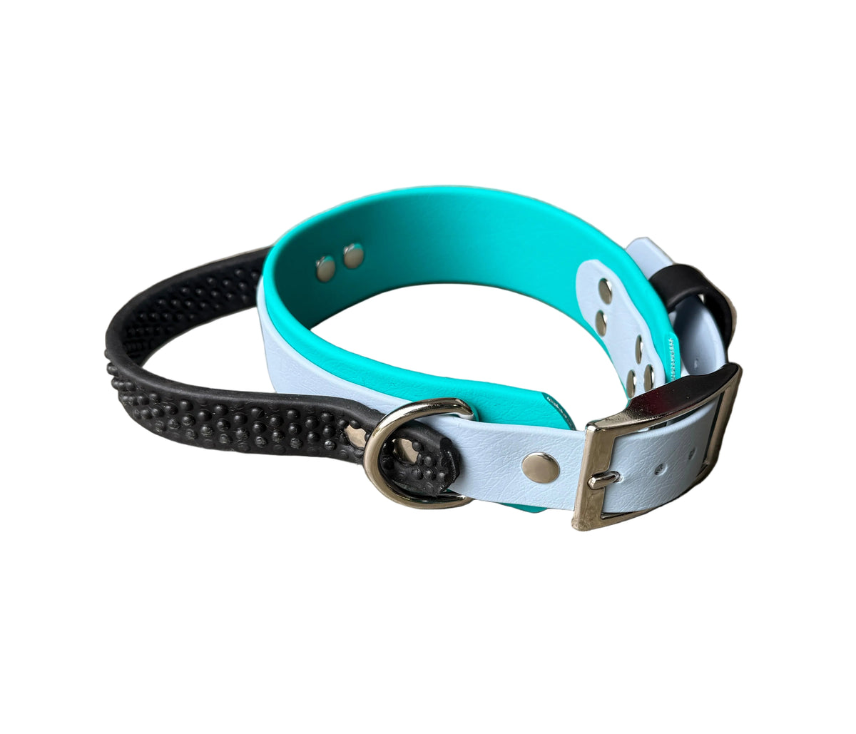 The top collar is light aqua/turquoise with a white underside and silver buckle.