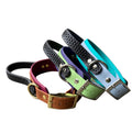 Three colorful dog collars with gold-tone buckles and metal rings. The collars are black, pink, orange, green, purple, blue, and turquoise, with some featuring textured black tops.
