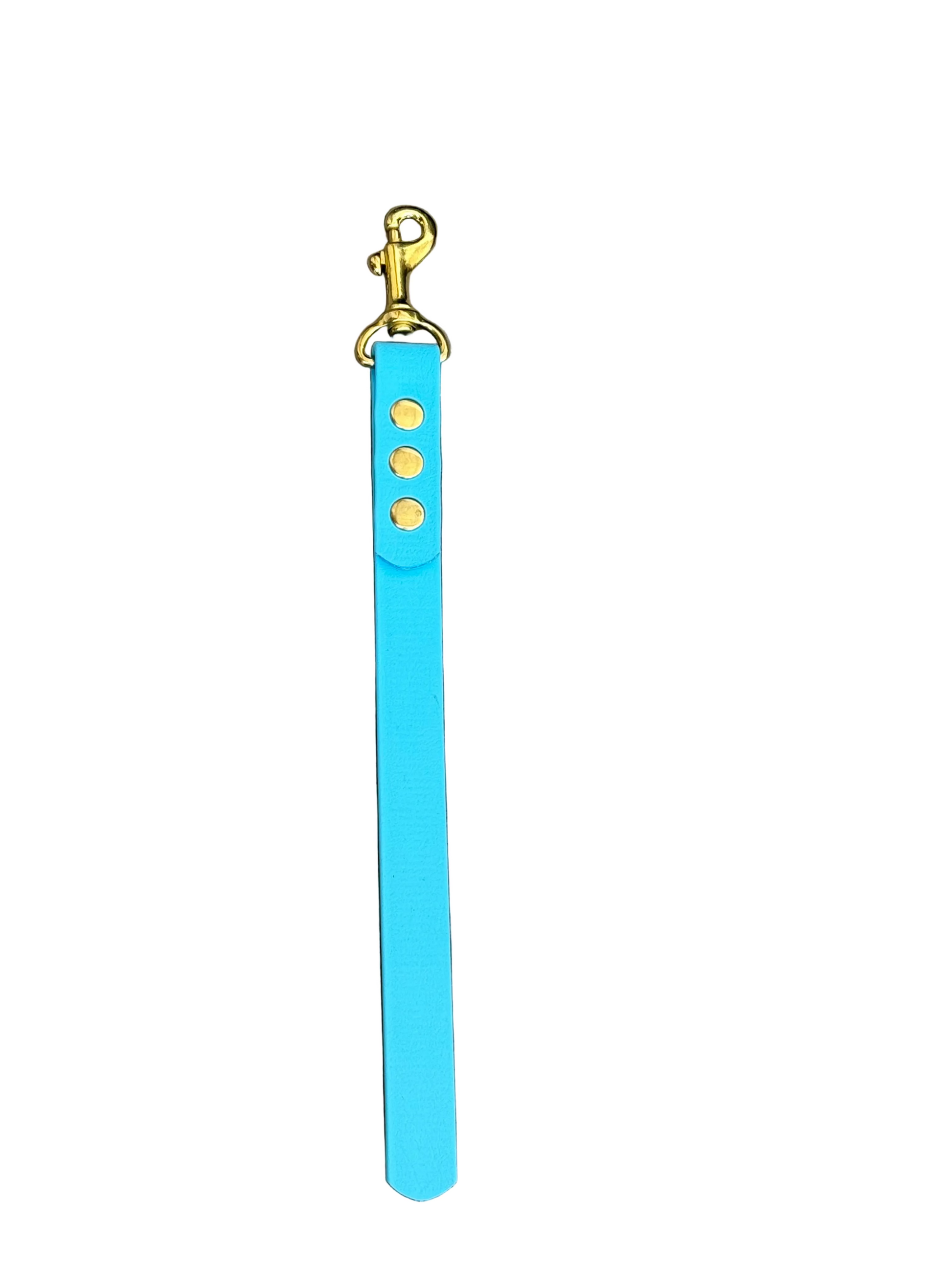 Blue biothane strap with brass hardware on a white background.