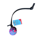 Colorful ball on a string with a tag on a white background