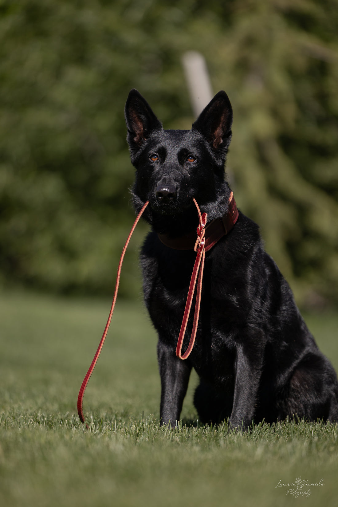 Bridgeport K9 Braided End Patrol Dog Leash – Premium Leather Leash for Strength, Durability, and Style