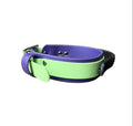 A purple and green dog collar with a black textured side tab,