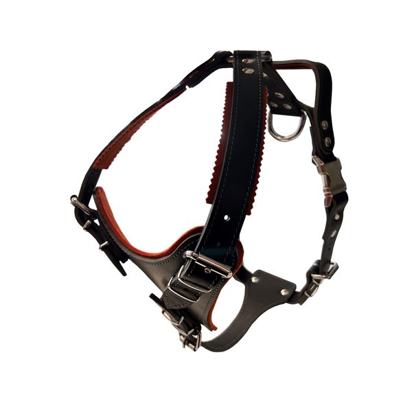 Defense Harness