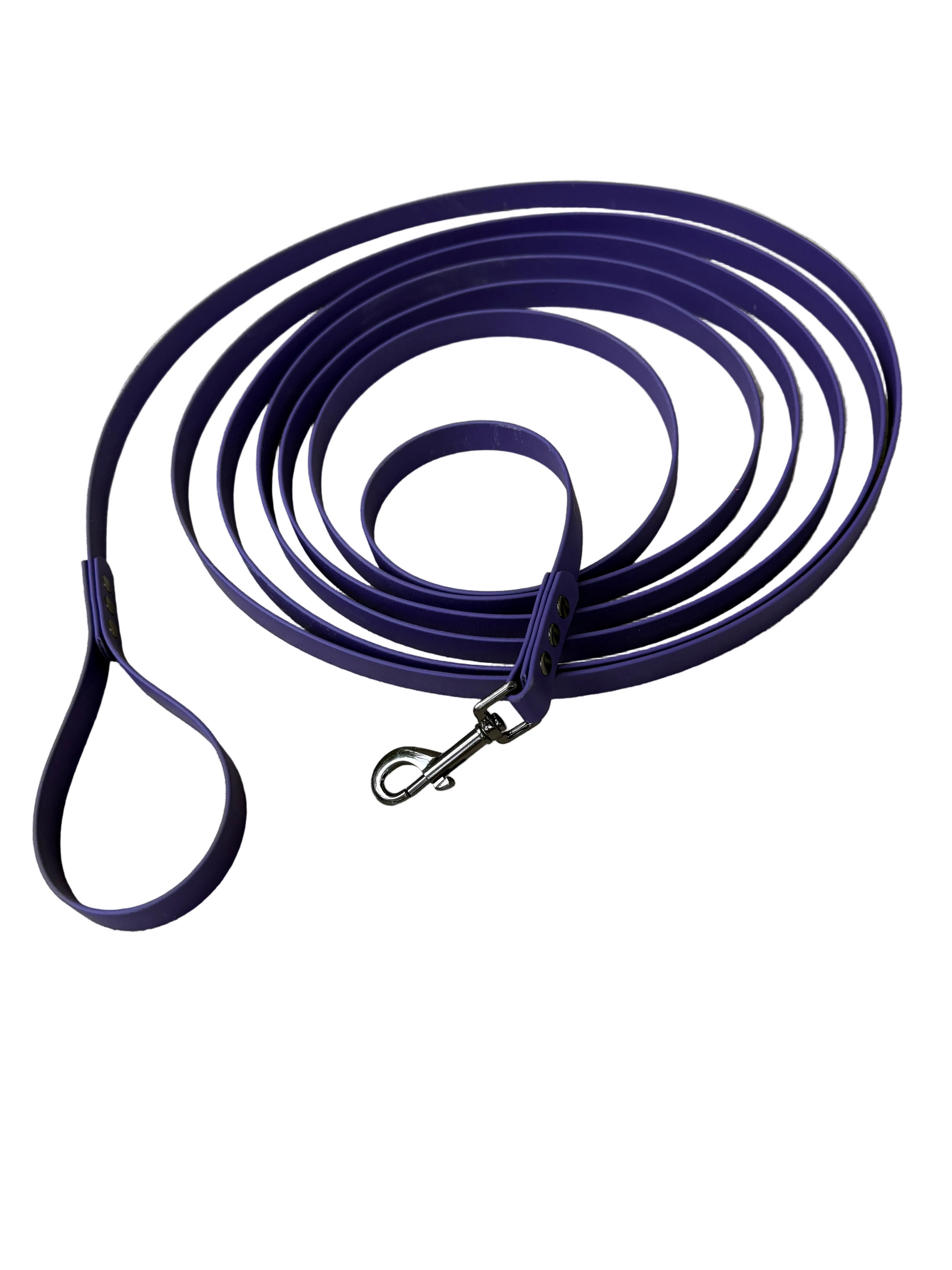 Purple dog leash coiled on a concrete surface