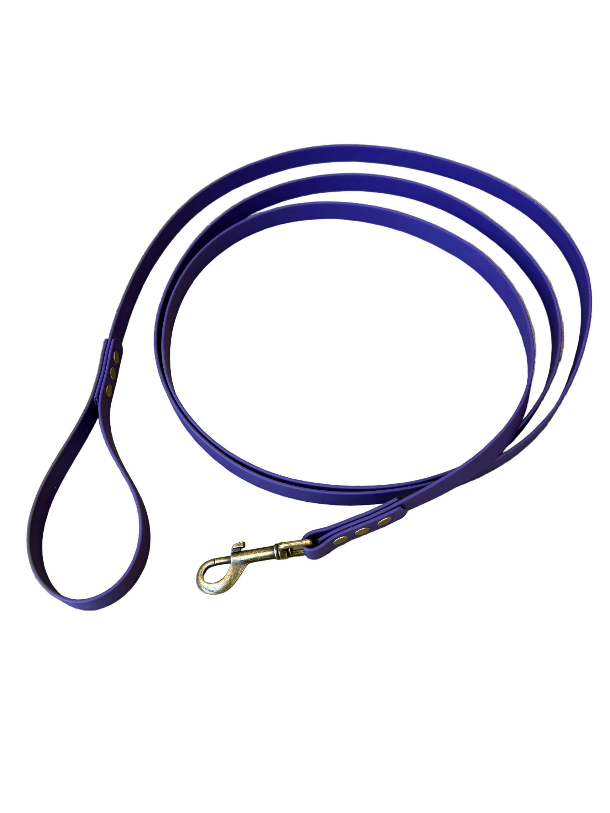 Purple dog leash with brass clip on a white background.