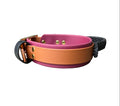 A thick biothane dog collar with a bright brown body, wine inner lining, and gold-tone hardware,