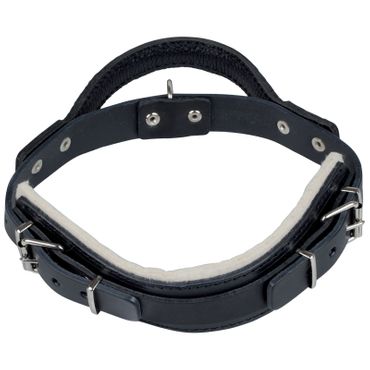 Gappay Leather Agitation Collar